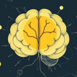 Как запомнить все и навсегда: исследования и техники, которые работают на самом деле