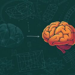 Когнитивные способности: как наш мозг учится, запоминает и принимает решения